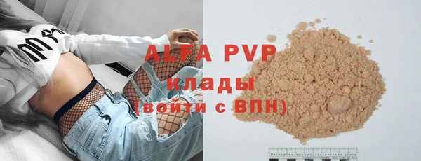 ГАЛЛЮЦИНОГЕННЫЕ ГРИБЫ Дмитриев