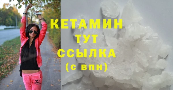 ГАЛЛЮЦИНОГЕННЫЕ ГРИБЫ Дмитриев