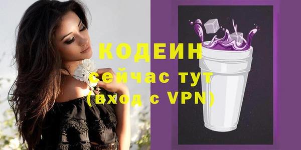 ГАЛЛЮЦИНОГЕННЫЕ ГРИБЫ Дмитриев