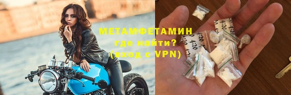 ГАЛЛЮЦИНОГЕННЫЕ ГРИБЫ Дмитриев