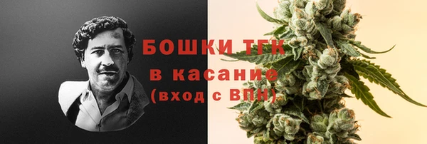 ГАЛЛЮЦИНОГЕННЫЕ ГРИБЫ Дмитриев