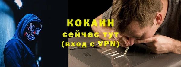 стафф Дмитров
