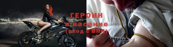 ГАЛЛЮЦИНОГЕННЫЕ ГРИБЫ Дмитриев