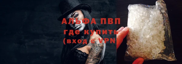 стафф Дмитров