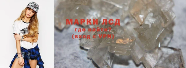 ГАЛЛЮЦИНОГЕННЫЕ ГРИБЫ Дмитриев