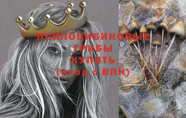 стафф Дмитров