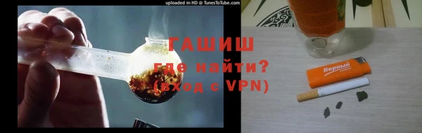 ГАЛЛЮЦИНОГЕННЫЕ ГРИБЫ Дмитриев