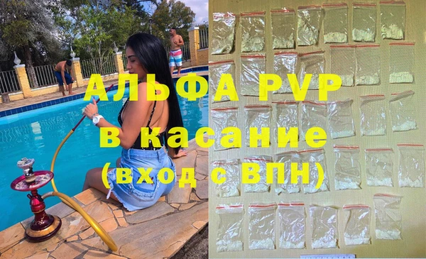 стафф Дмитров