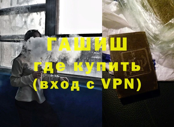 ГАЛЛЮЦИНОГЕННЫЕ ГРИБЫ Дмитриев