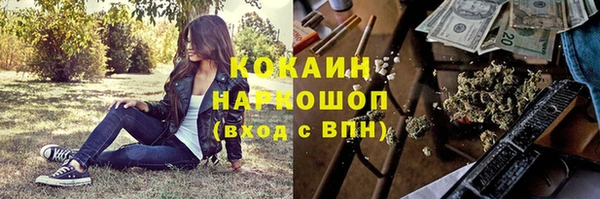 стафф Дмитров