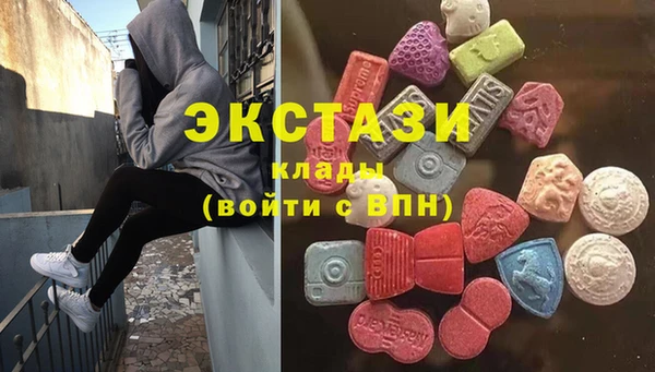 ГАЛЛЮЦИНОГЕННЫЕ ГРИБЫ Дмитриев