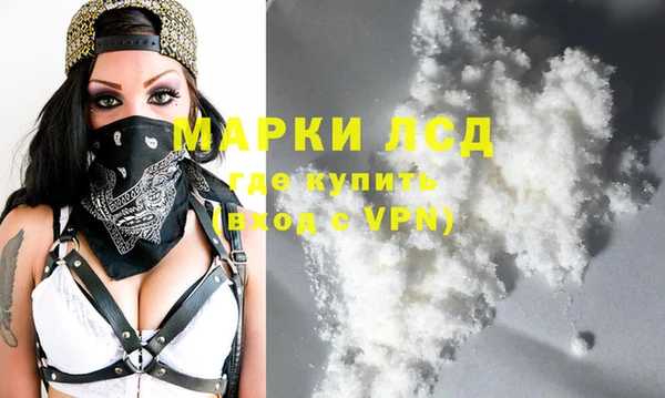 стафф Дмитров