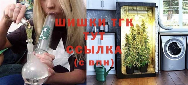 ГАЛЛЮЦИНОГЕННЫЕ ГРИБЫ Дмитриев