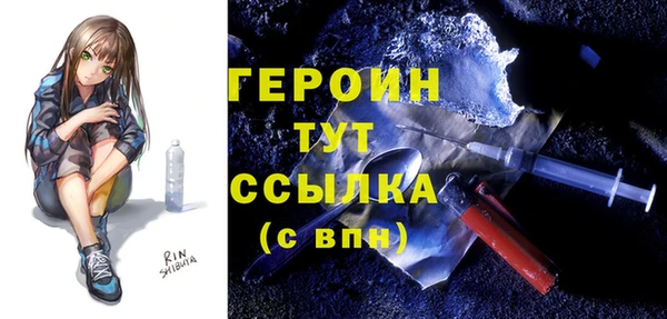 ГАЛЛЮЦИНОГЕННЫЕ ГРИБЫ Дмитриев