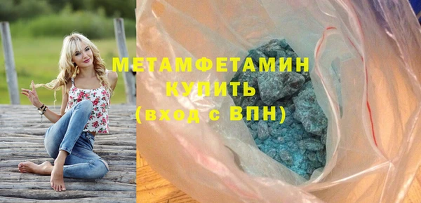 ГАЛЛЮЦИНОГЕННЫЕ ГРИБЫ Дмитриев